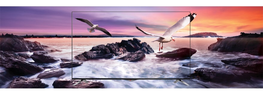 Design Cinema Screen